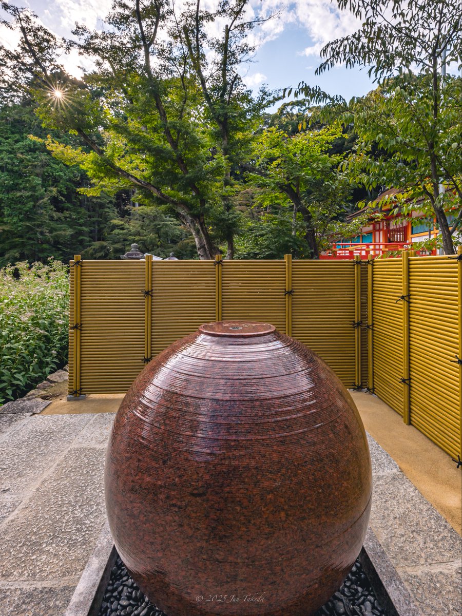 man_tac's tweet image. &amp;lt;京都大原野神社の藤袴&amp;gt;
2025.10.1撮影

#TLを花でいっぱいにしよう 
Leica SL2-S x SIGMA 16-28mm F2.8 DG DN | Contemporary