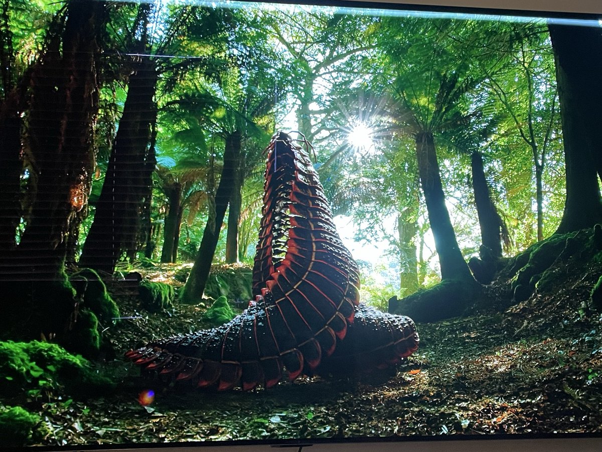 Life on our planet 
太好看了