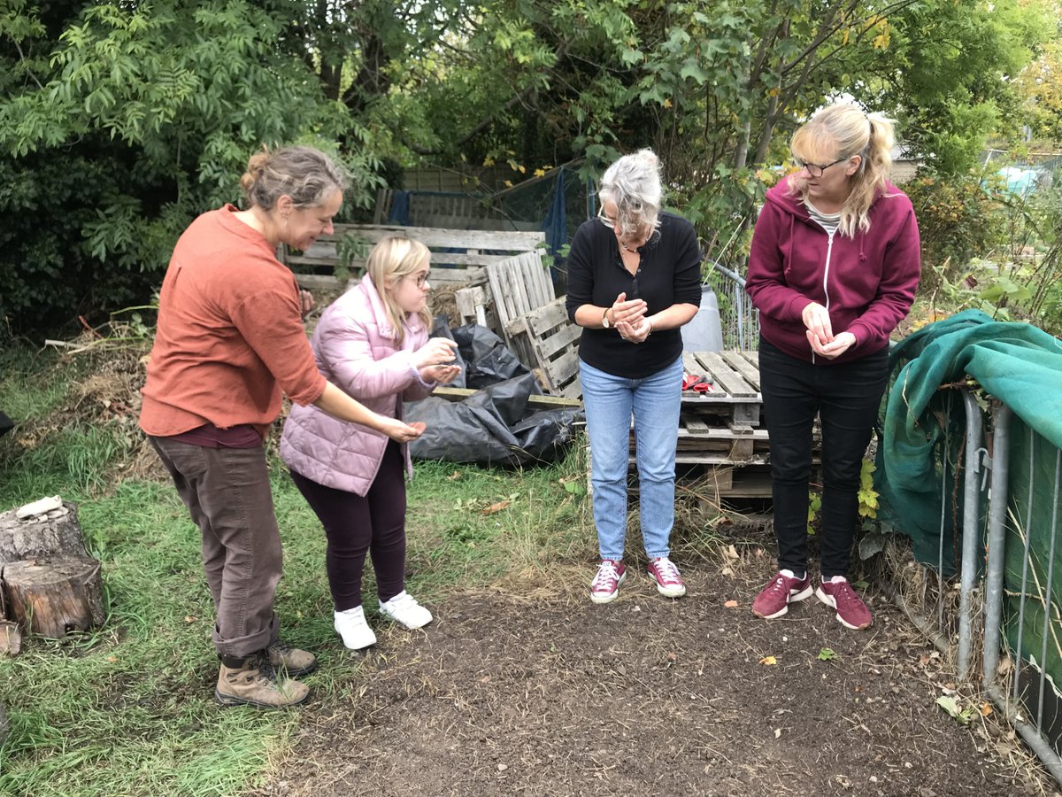 The Patchwork Meadow tweet media