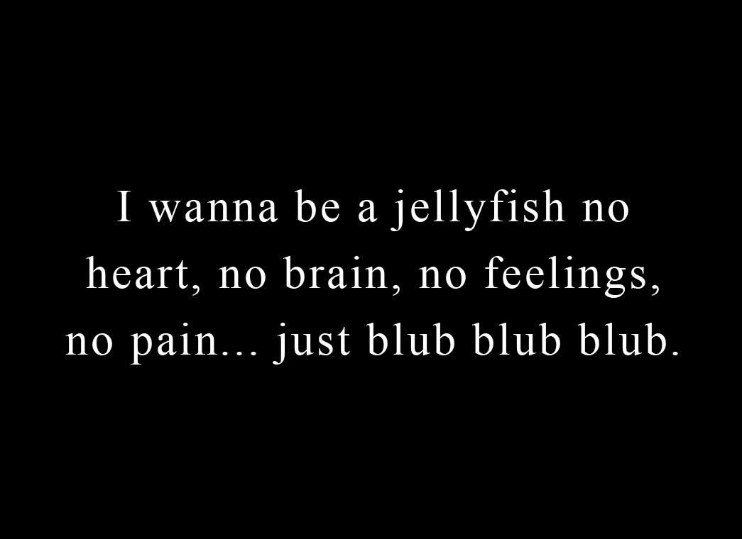 Katielu💜 tweet media