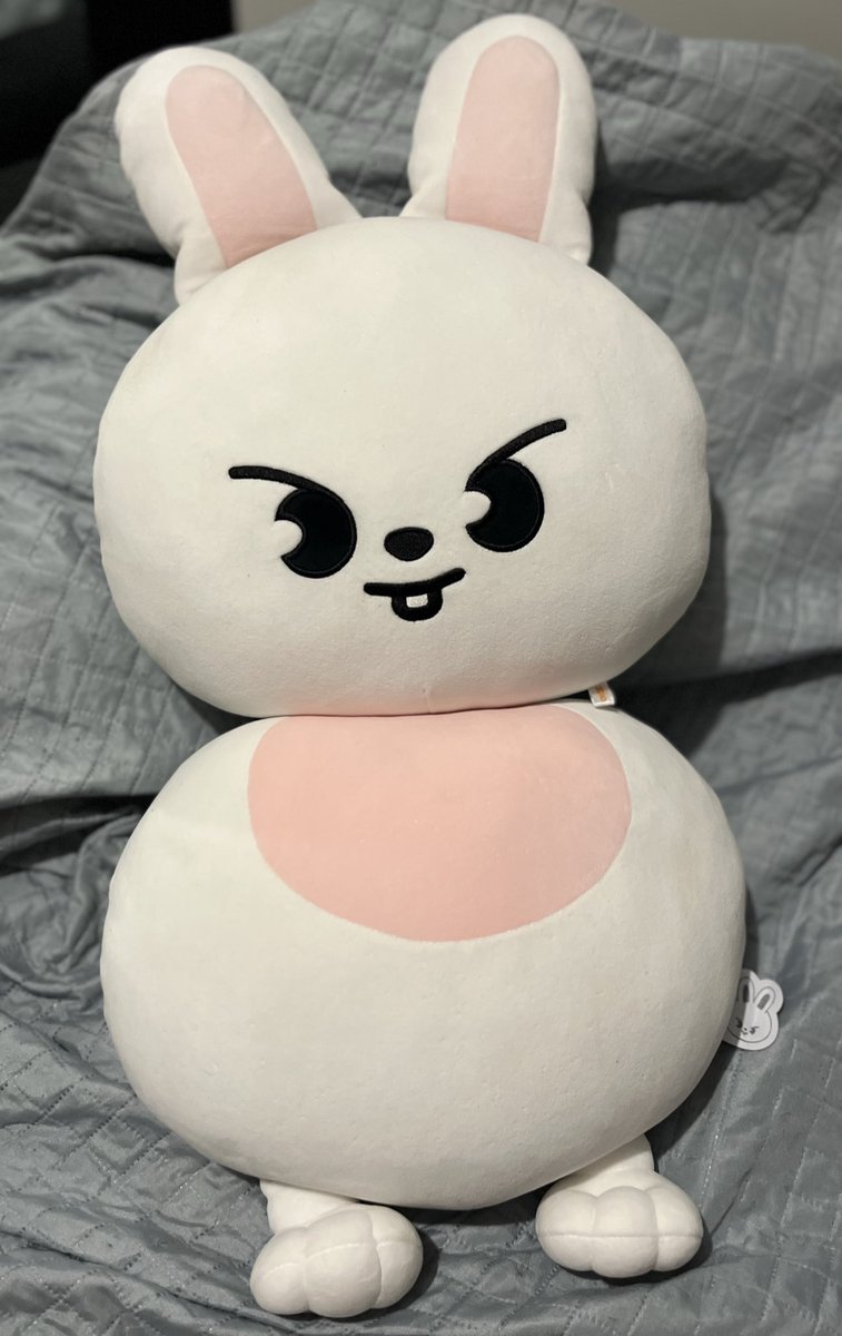 VENDA LEEBIT

R$ 680,00 + frete 

Apenas vendo os dois juntos!
Video na DM
Envio essa semana

Levem esse querido 🥰 Ele é bem fofinho e vai ficar lindo na decoração 

vendo skz lee know merch stray kids