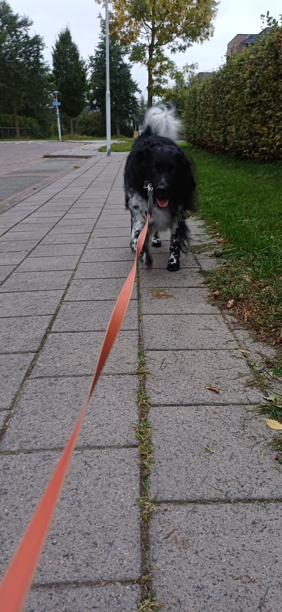 Terror Earth tweet media