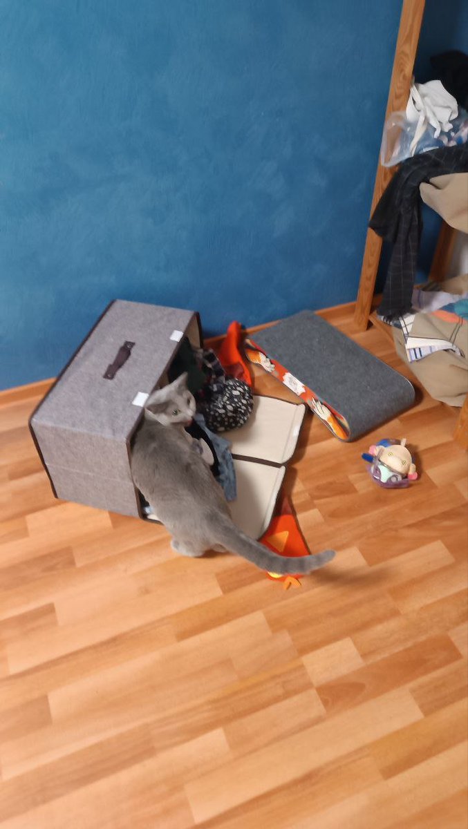 WHY ARE U LIKE THIS YOU SILLY CREATURE