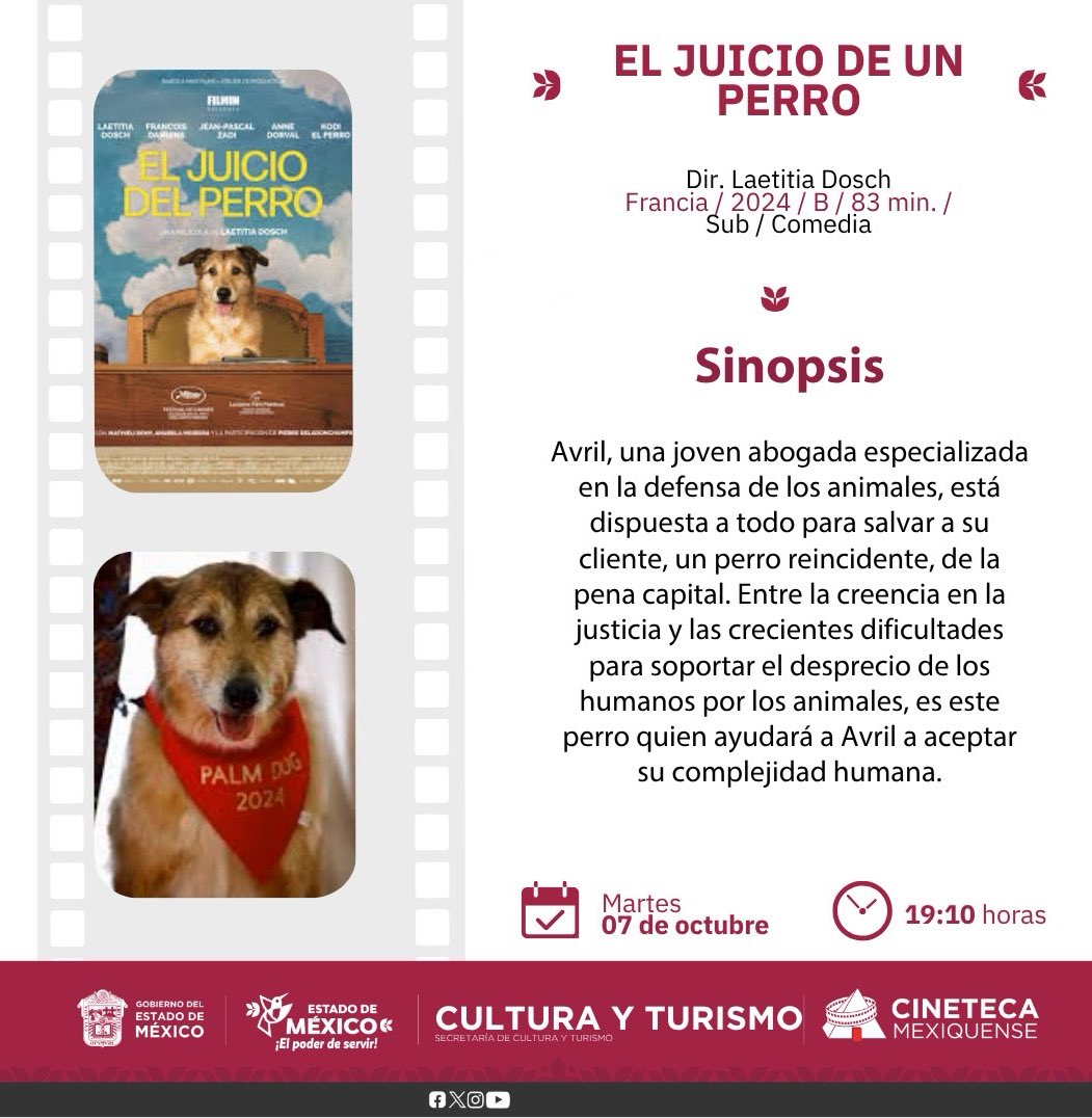 Cineteca Mexiquense tweet media