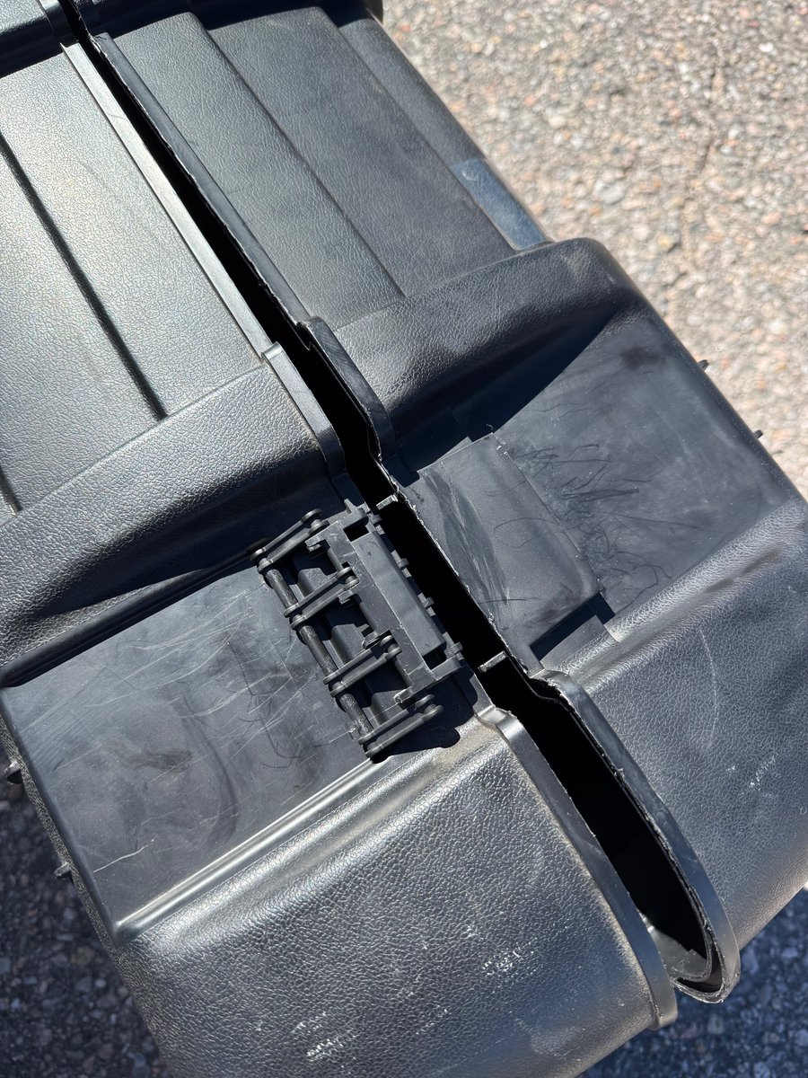 Catherine Marie tweet media