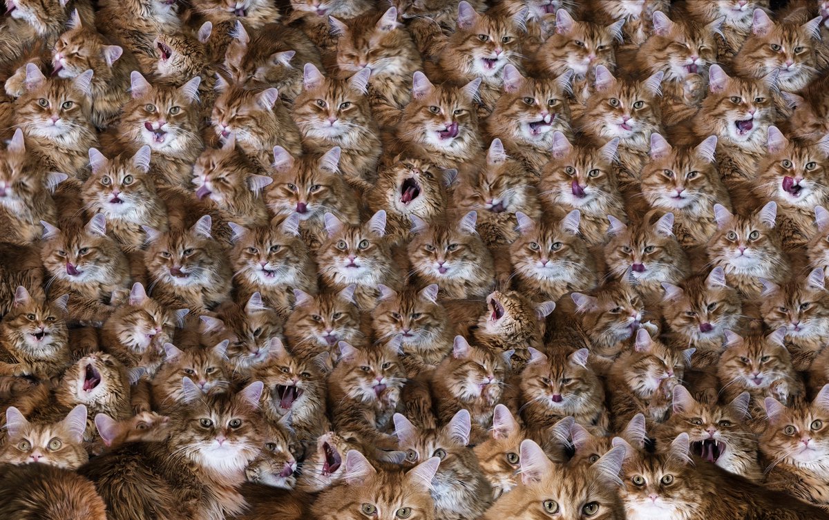 Andrew McCarthy tweet media