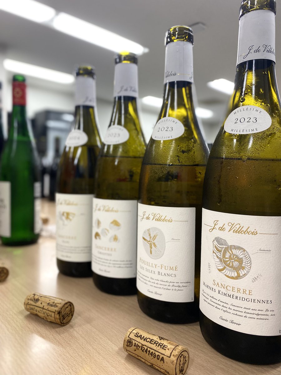 WINEPRO ワインプロ公式 業務用ワインの仕入専門店 (@winepro_online