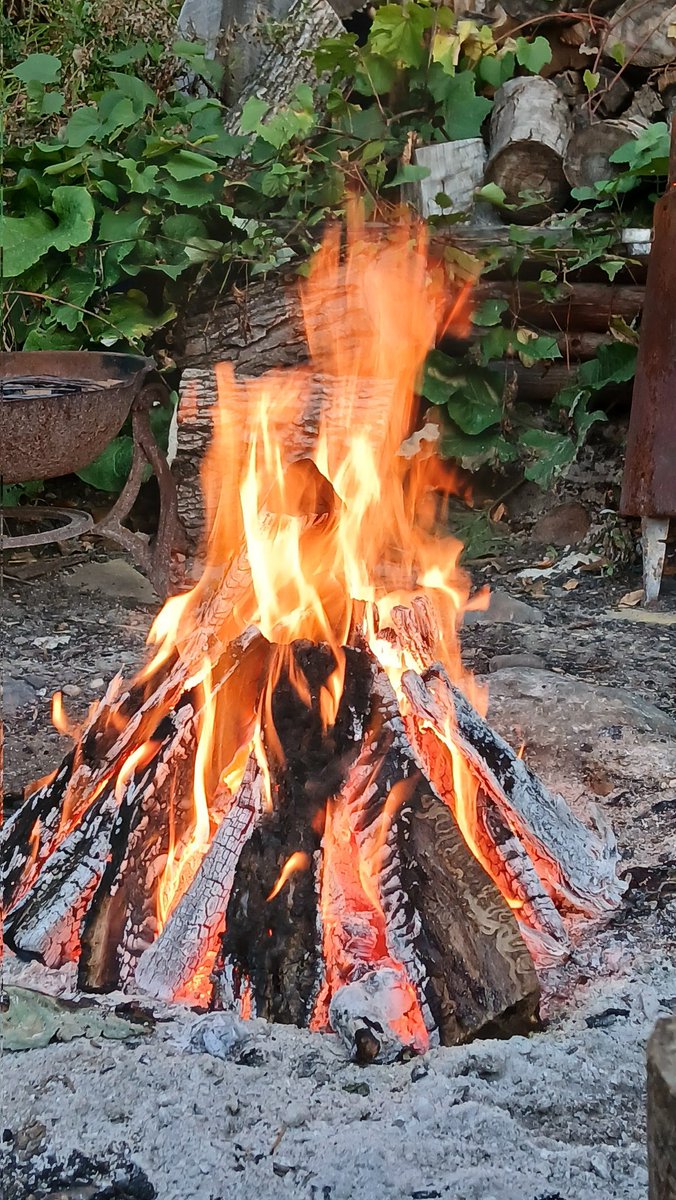 BrainGoPop's tweet image. Ahh those cool Minnesota nights