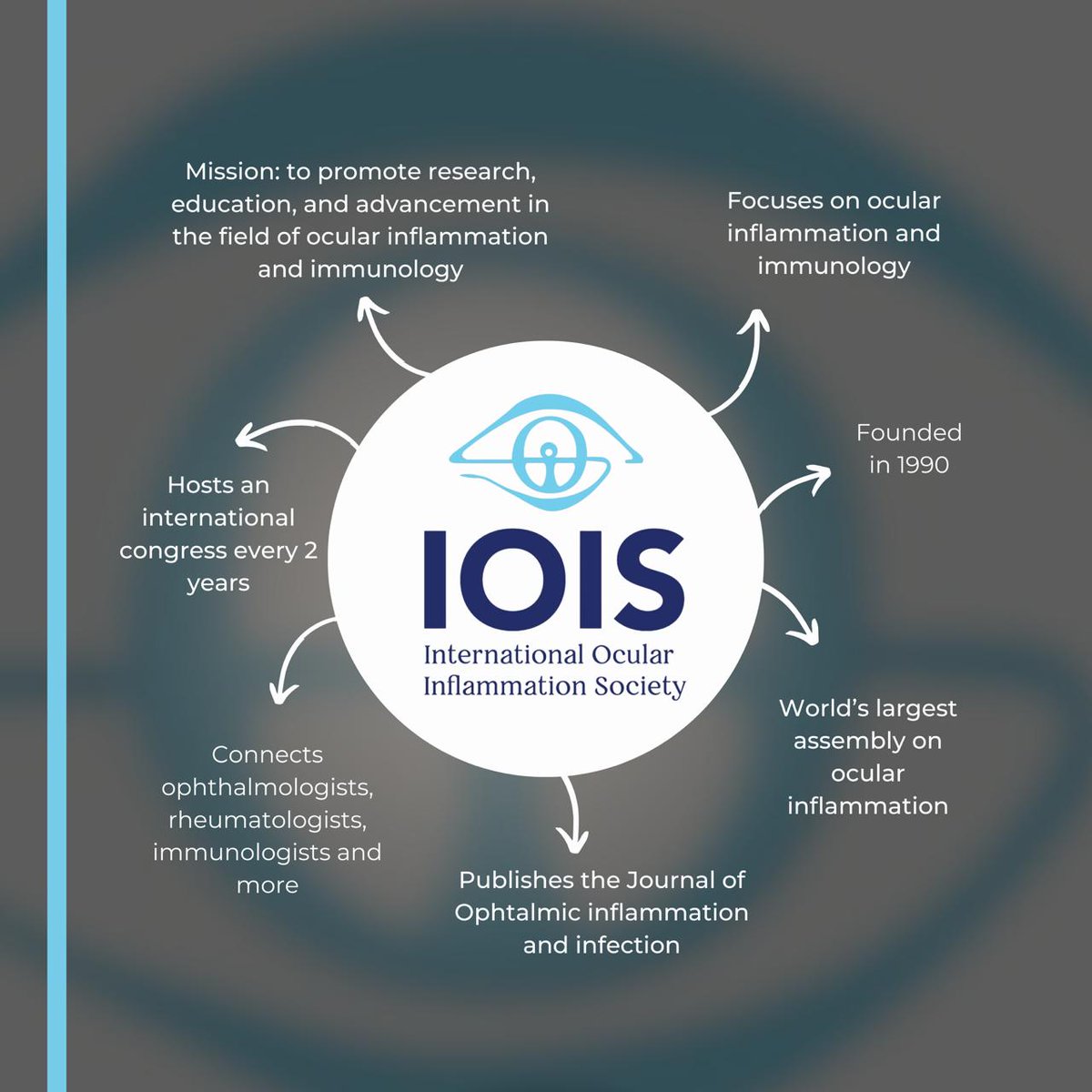 IOIS_Uveitis's tweet photo. 👁️ Advancing knowledge. Connecting specialists. Shaping the future of ocular inflammation care.
🌍 The International Ocular Inflammation Society (IOIS) unites experts worldwide to promote research, education, and innovation in ocular inflammation and immunology.
#IOIS #Uveitis https://t.co/9mIWHAHDra