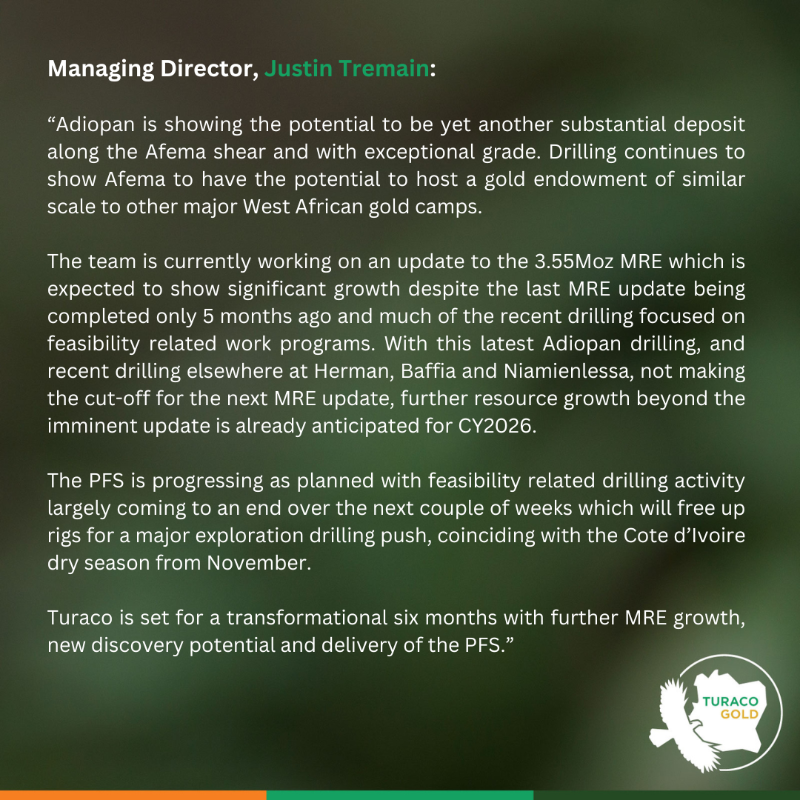 TuracoGold's tweet photo. 🚨 Significant gold discovery confirmed at Adiopan, Afema Project 🇨🇮
✨ 16m @ 5.0g/t | 25m @ 2.5g/t | 20m @ 1.9g/t Au
“Adiopan has potential to be another substantial deposit along the Afema shear.”
🚀 MRE growth + PFS milestones coming - big months ahead 
#ASX #Gold #Exploration