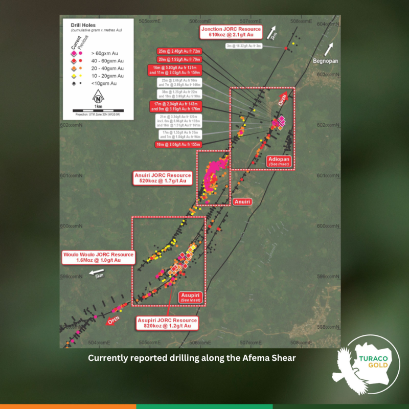 TuracoGold's tweet photo. 🚨 Significant gold discovery confirmed at Adiopan, Afema Project 🇨🇮
✨ 16m @ 5.0g/t | 25m @ 2.5g/t | 20m @ 1.9g/t Au
“Adiopan has potential to be another substantial deposit along the Afema shear.”
🚀 MRE growth + PFS milestones coming - big months ahead 
#ASX #Gold #Exploration