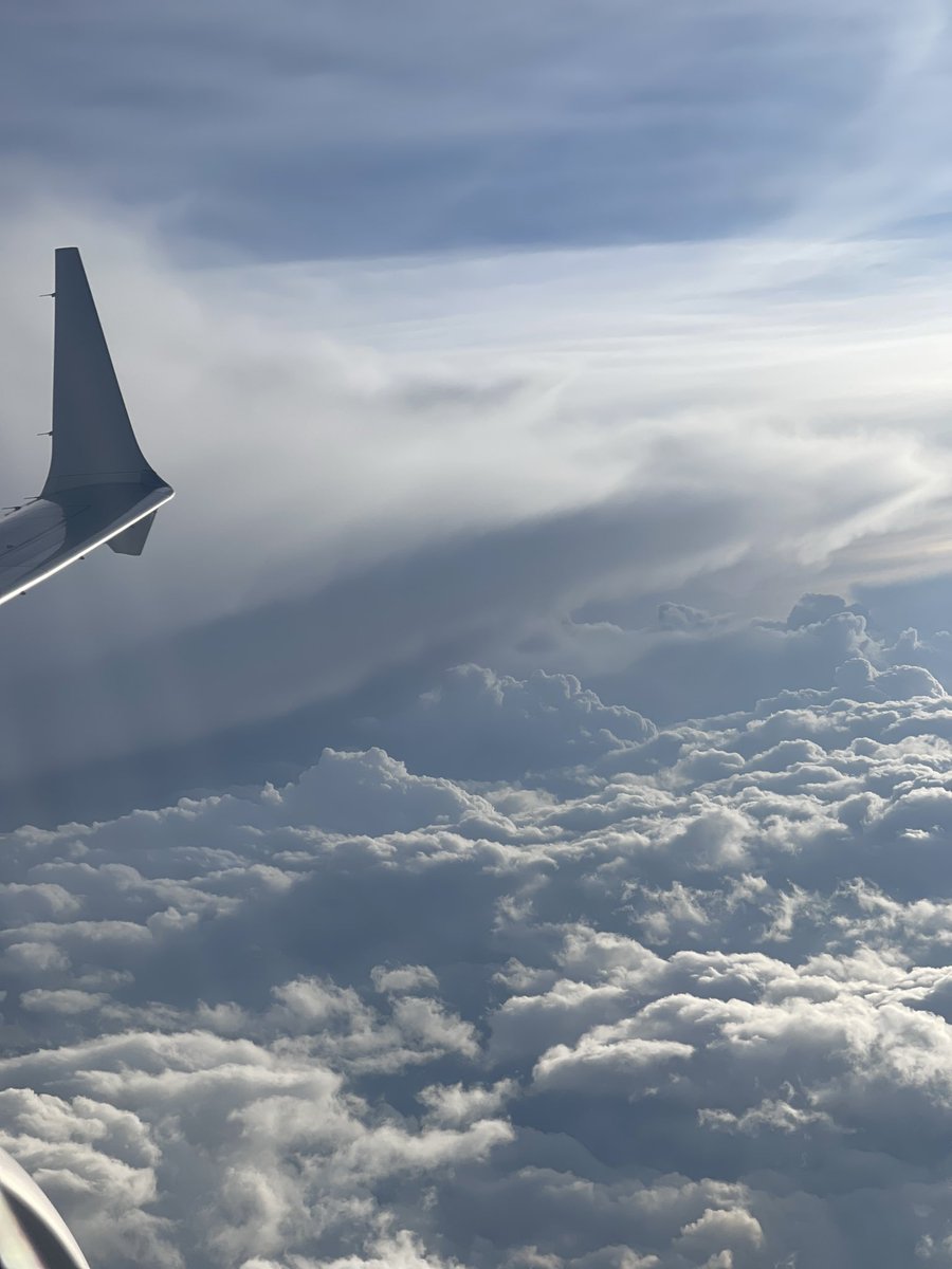 mkwfxtx's tweet image. โIโm leaving on a jet planeโฆโ after two amazing days at #TLC2025! So much learning and inspiration. Next stop is sunny Hemet, CA to work with some incredible coaches! @CoachingPD