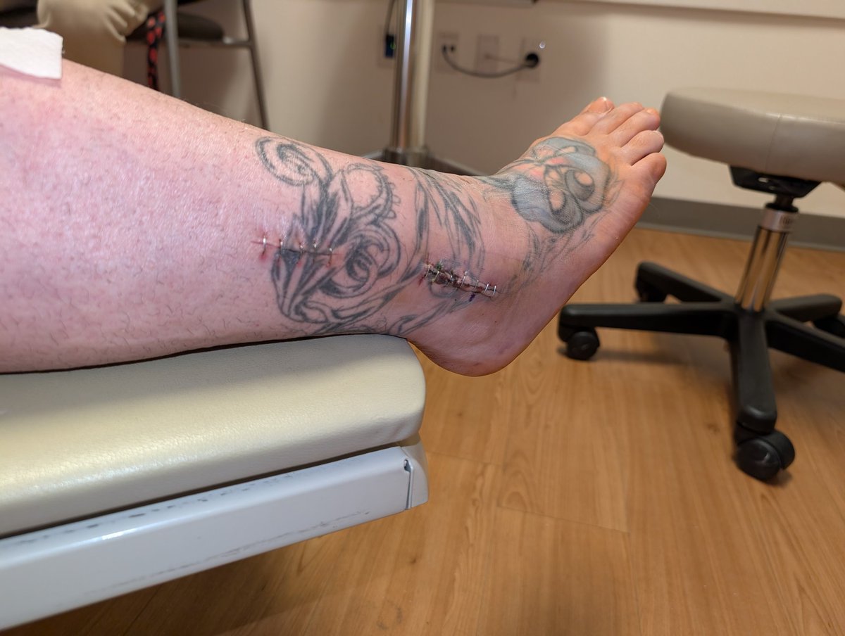 Fallen Flower Kikyo キキョウ tweet media