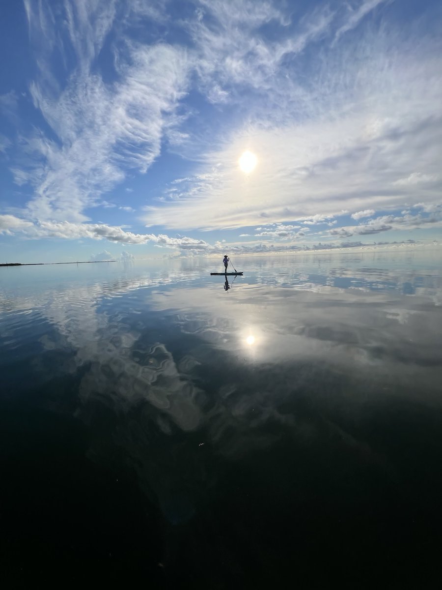 standuppaddletv's tweet image. Early AM glassy paddle on the Atlantic Ocean. What a sight 🙌

📸 Chris Guilfoose
#supconnect #paddleboarding #standuppaddle

Enter our photo contest and share your photos: supconnect.com/photo-contest-…