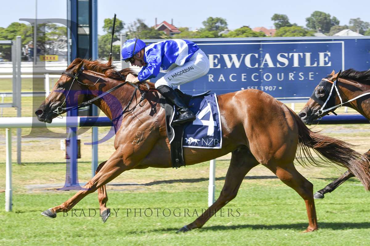 Minervini Racing (@minerviniracing) on Twitter photo RUBI'S SERVE (5m ex Serve and Volley NZ) resumes <a href="/aus_turf_club/">Australian Turf Club</a> Kensington this afternoon. <a href="/LeeMagorrian/">lee magorrian</a> rides the daughter of RUBICK in the <a href="/tabcomau/">TAB</a> BM72 over 1250m. <a href="/SwettenhamStud/">Swettenham Stud</a> <a href="/CHN_Horseracing/">ChinaHorseRacing</a> <a href="/BaramulStud/">Baramul Stud</a> <a href="/mmsnippets/">Magic Millions</a> <a href="/newcastleraces_/">Newcastle Racecourse</a> <a href="/Bradley_Photos/">Bradley Photos</a> RUBI'S SERVE (5m ex Serve and Volley NZ) resumes <a href="/aus_turf_club/">Australian Turf Club</a> Kensington this afternoon. <a href="/LeeMagorrian/">lee magorrian</a> rides the daughter of RUBICK in the <a href="/tabcomau/">TAB</a> BM72 over 1250m. <a href="/SwettenhamStud/">Swettenham Stud</a> <a href="/CHN_Horseracing/">ChinaHorseRacing</a> <a href="/BaramulStud/">Baramul Stud</a> <a href="/mmsnippets/">Magic Millions</a> <a href="/newcastleraces_/">Newcastle Racecourse</a> <a href="/Bradley_Photos/">Bradley Photos</a>