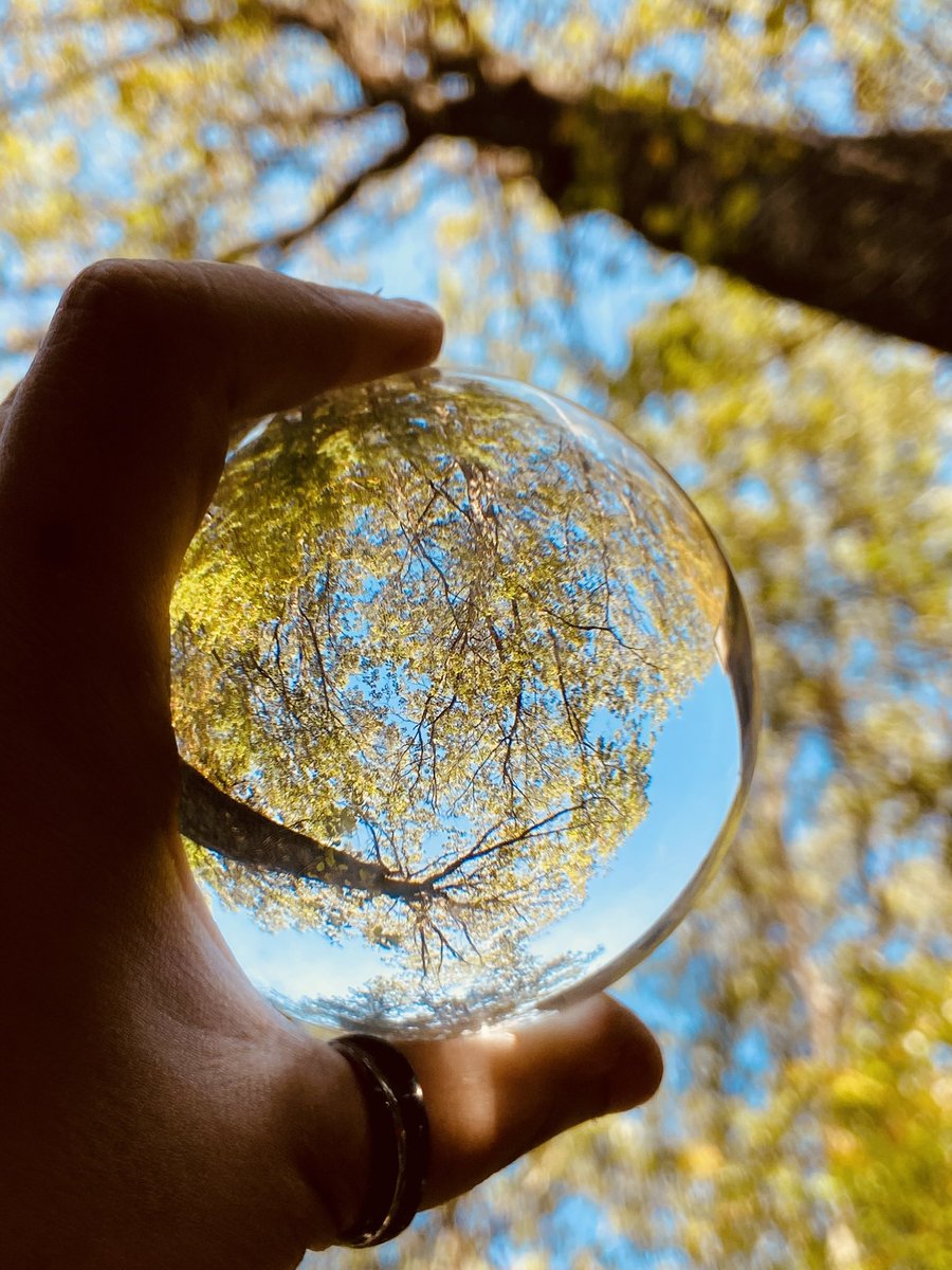 🏳️‍⚧️💨A🦈📸 tweet media