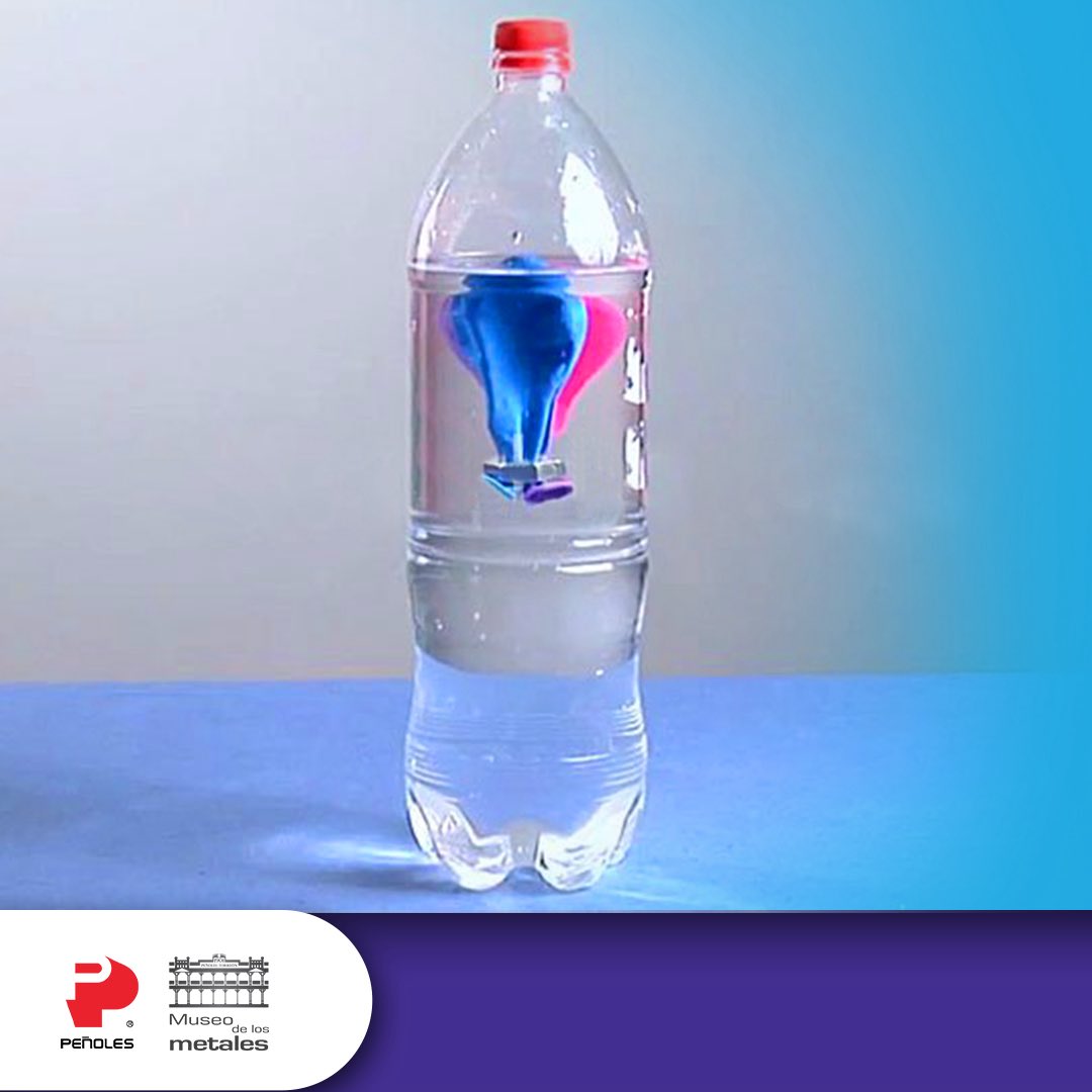 🔬✨La ciencia se vive explorando
Trae a tus pequeños al Club Exploradores de la Ciencia, un espacio pensado para niñas y niños de 4 a 11 años, donde la curiosidad es la protagonista 🧭

📆 11 de octubre
🕙 10:00 a.m. a 12:00 p.m.
🍎 No olvides tu refrigerio

#ClubDeExploradores