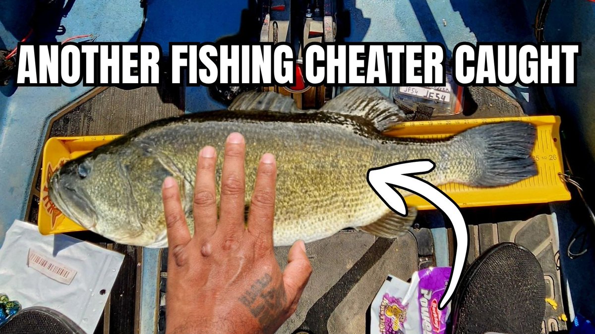 Bass Fishing CHEATER Caught On LAKE FORK youtu.be/BRQFZdtEtGY?si… via <a href="/YouTube/">YouTube</a>