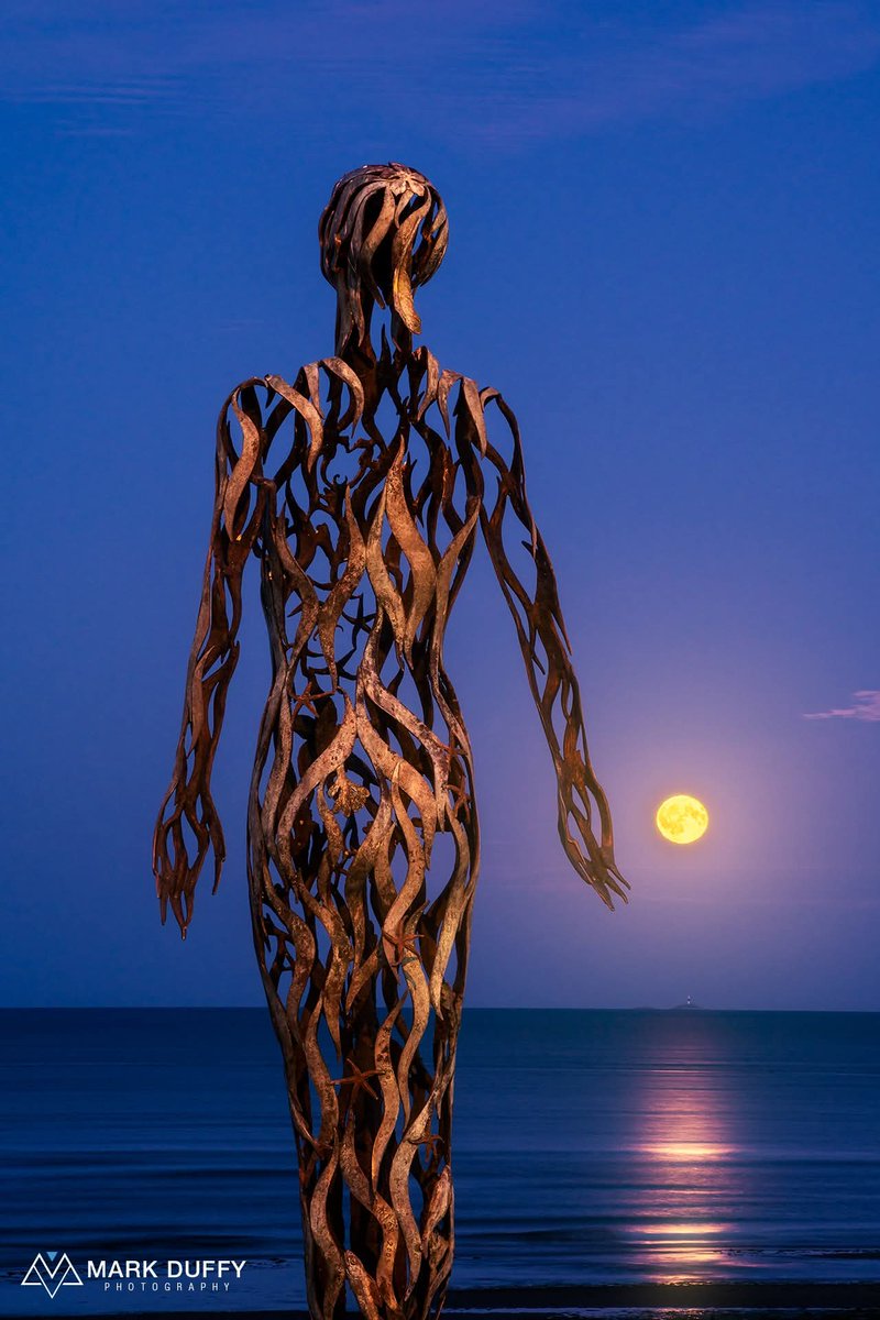 ThisIsIreland3's tweet image. Moonrising by The Voyager Laytown 🌕

📍Laytown, Co. Meath - Ireland ☘️ 

(By the artist Linda Brunker)

📸 Mark Duffy Photography

#Laytown #Ireland #Meath #TheVoyager #Sculpture #Art