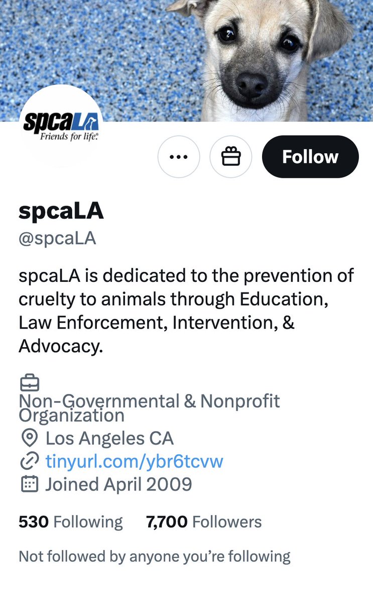 Hasan might be in deep trouble... people are now trying to contact spcaLA over the Hasan-Dog clip.

SpcaLA is an organization dedicated to preventing animal cruelty.