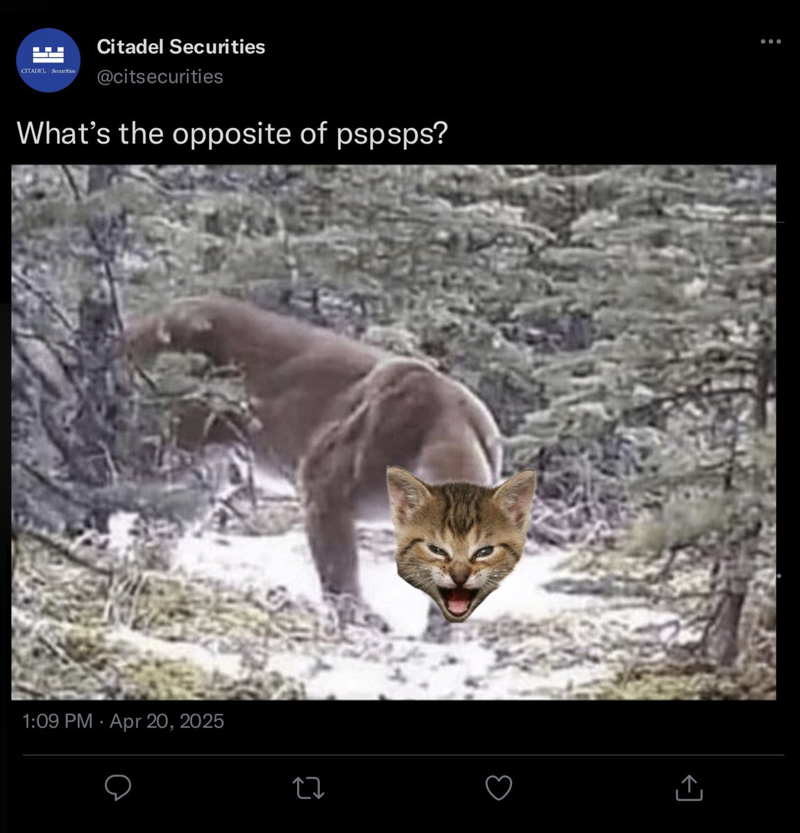 gmebuttstallion's tweet photo. #GMEoWS #pspsps https://t.co/0ACdW4bhks