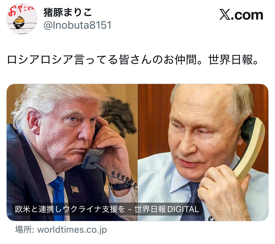 猪豚まりこ tweet media