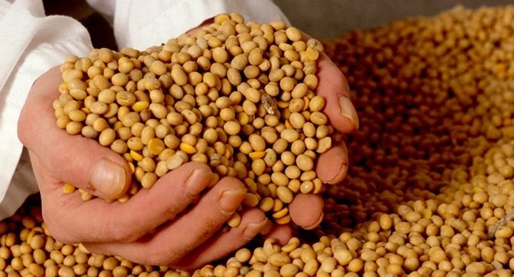 lucenar528's tweet image. GIRO EN EL COMERCIO GLOBAL😱
🇺🇸🇧🇷🇨🇳EE. UU pierde, Brasil gana. China compra soya brasileña, no estadounidense. Las políticas de Washington afectan a sus agricultores, no a las corporaciones.

#venezuelaconpalestina 
venezuela-news.com/giro-en-el-com…