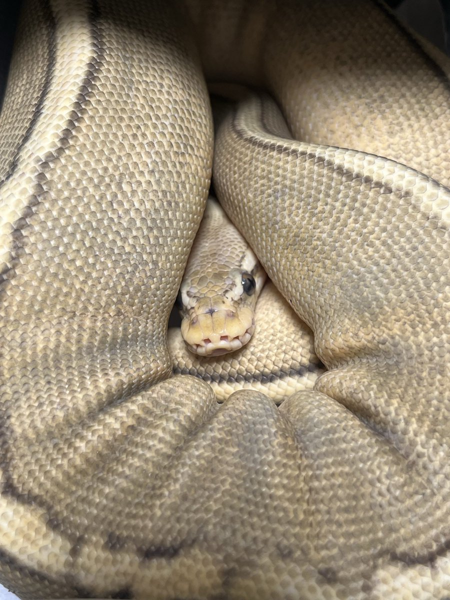 反省部屋からおはようございます