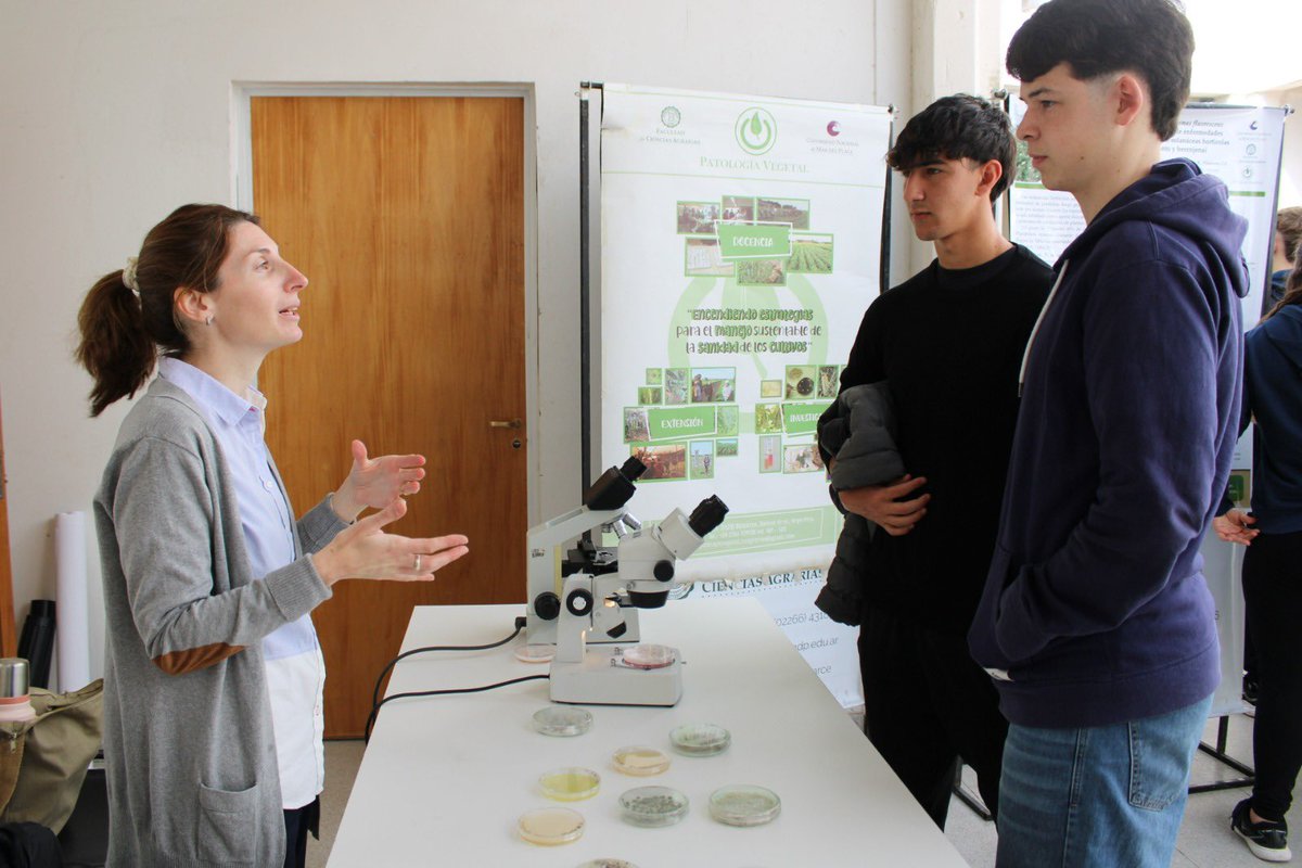 FCABalcarce - UNMDP tweet media