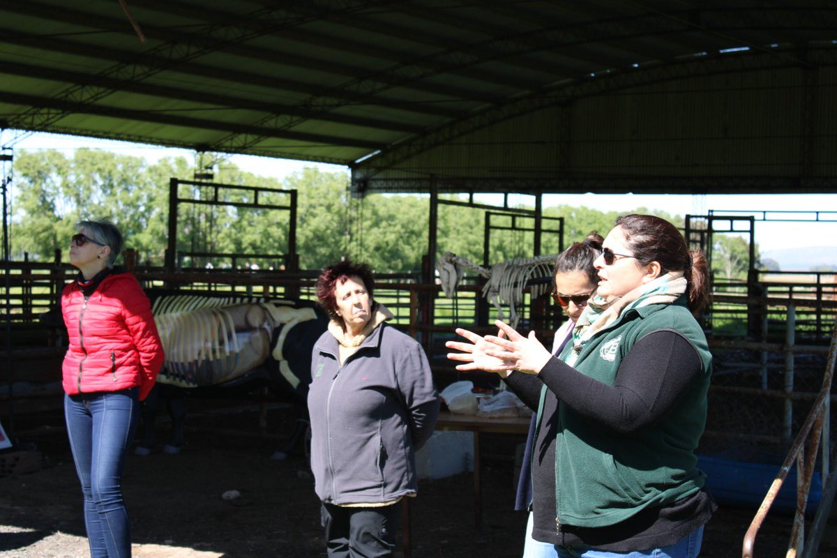 FCABalcarce - UNMDP tweet media