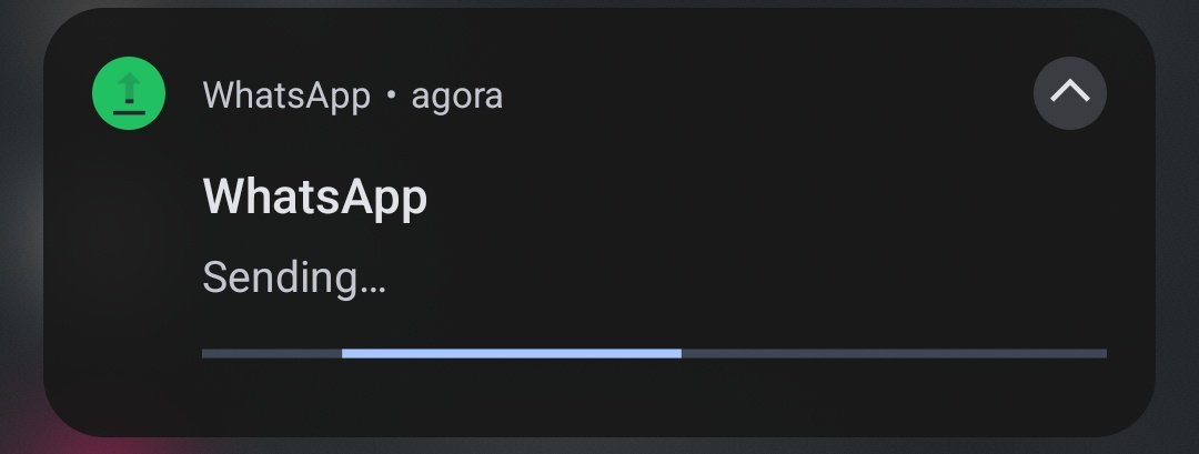 ME DIGA ZAP O QUE EU ESTOU ENVIANDO??? TA O DIA TODO ASSIM PQP