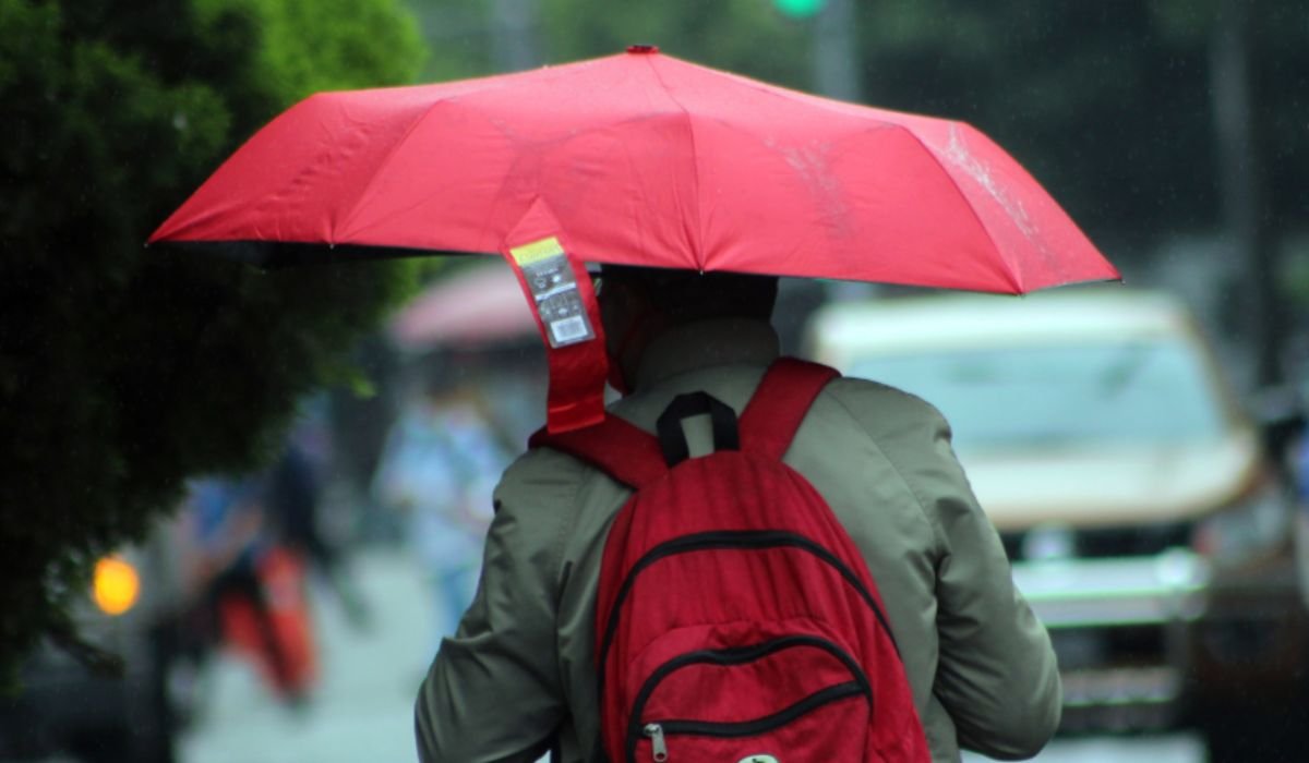 ysuca91siete's tweet image. #Clima| El ministro de Medio Ambiente dijo que antes que termine este mes podría haber un frente frío y para noviembre los acumulados de lluvias podrían ser menores.
🔗Lea más👇
ysuca.org.sv/2025/10/minist…