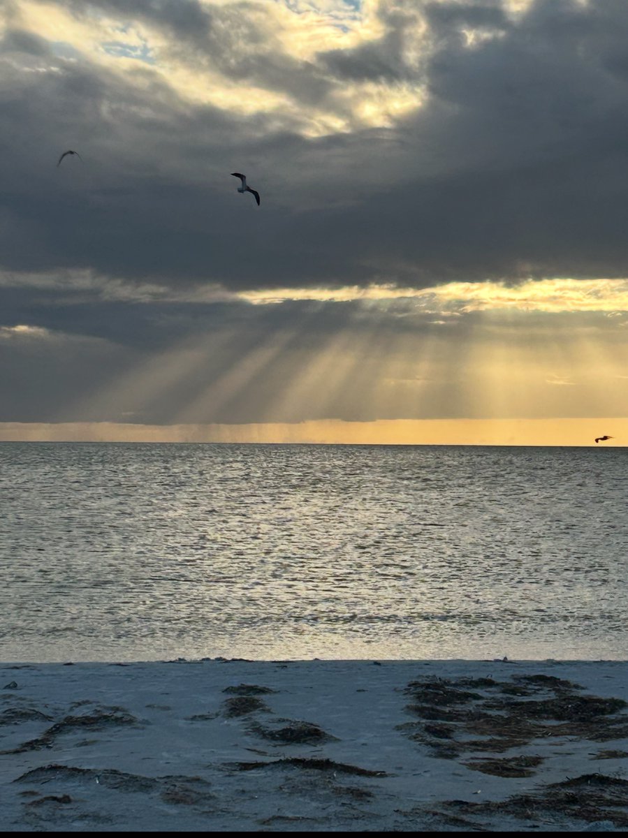 valkerie777's tweet image. Sunsets in #Florida are pretty amazing 🌅