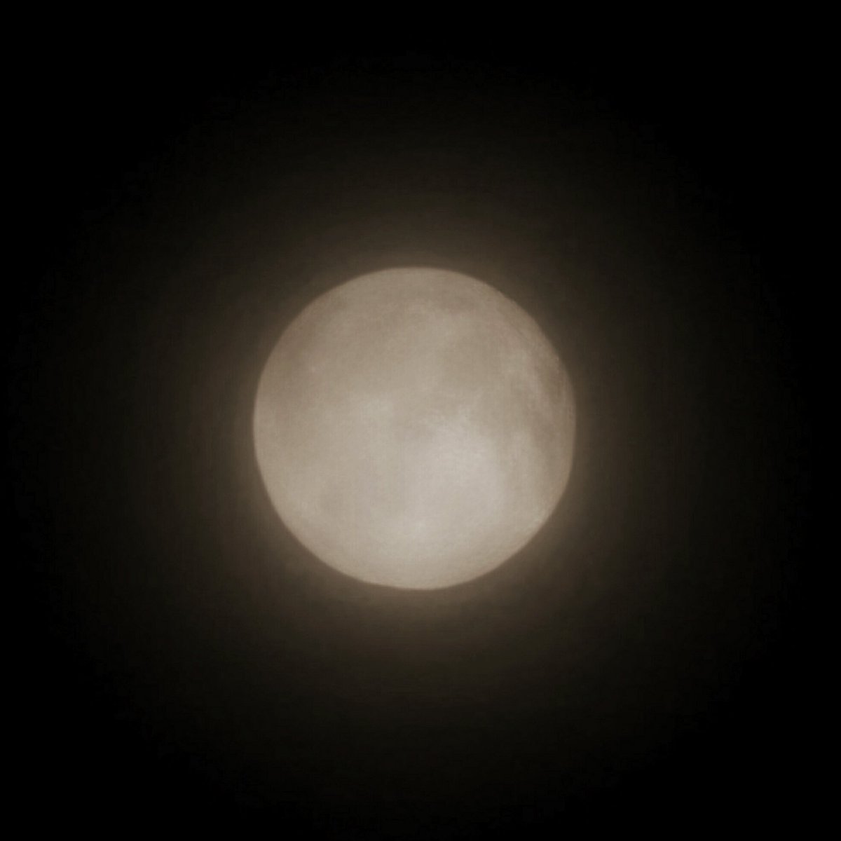 おはようございます！

一昨夜の中秋の名月、そして、昨夜の満月とお月見パワーで充電完了。

雲間から見える月明かりに心身共に癒されたので、また改めて頑張っていきたいと思います！

さぁ、再び、命を燃やそうか。
なんてね。

それでは、皆様、良い一日を！
