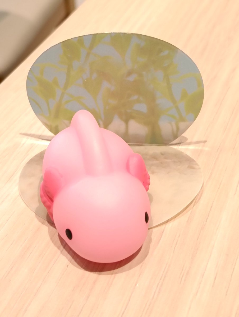 なんか可愛いのゲットした！

柔らかいから食い千切られそうなので、小娘②には絶対触らせられないww