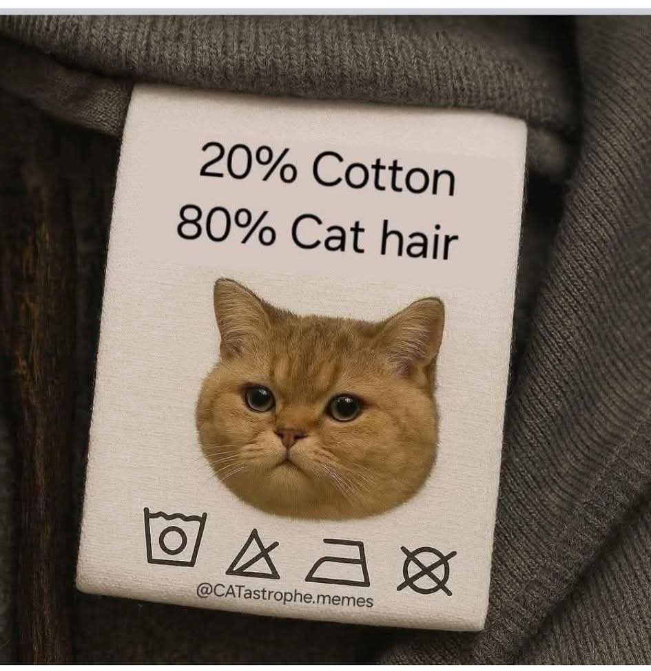 Every item of clothing I own...lol