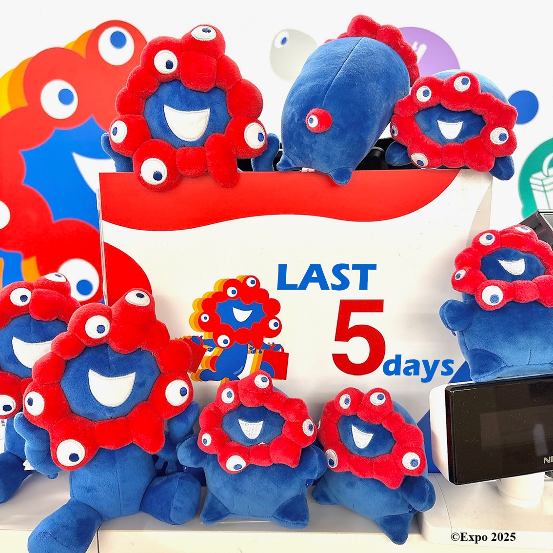 東ゲート店 MARUZEN JUNKUDO 🕘10/8(水)開店しました ❣️残すところ