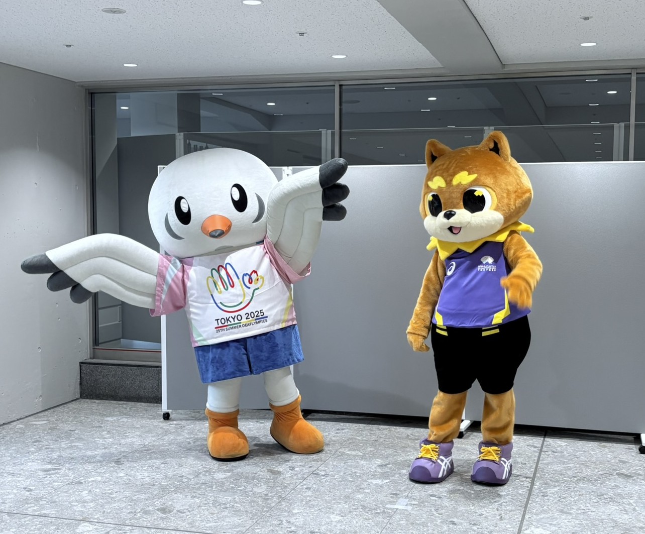 ゆりーと - Search / X