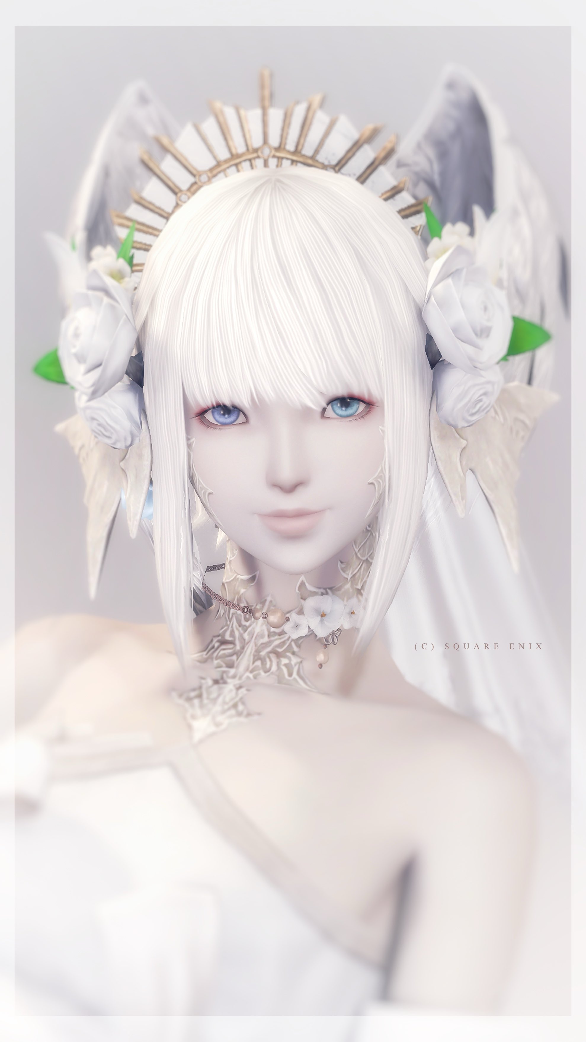 しろꕤ໒꒱·ﾟ on X: 