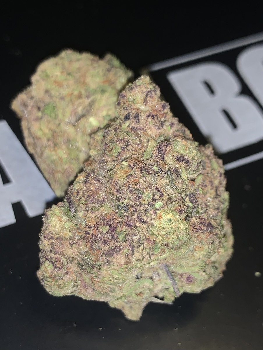 grab_a_bong's tweet photo. BakeBoxx THCA Review‼️
Code Red (Greenhouse) 👉🏼 @Bake_Boxx
👀 dense, frosty buds with dark purple 
👃 loud FUNKY gas almost GMO
👅 pure gas on the inhale, smooth earthy exhale😮‍💨
🤤Heavy, stoney high perfect for night🤌🏻
5⭐️ for greenhouse
#BakeBoxxReview #THCAFlower https://t.co/A7kwGD1qP6
