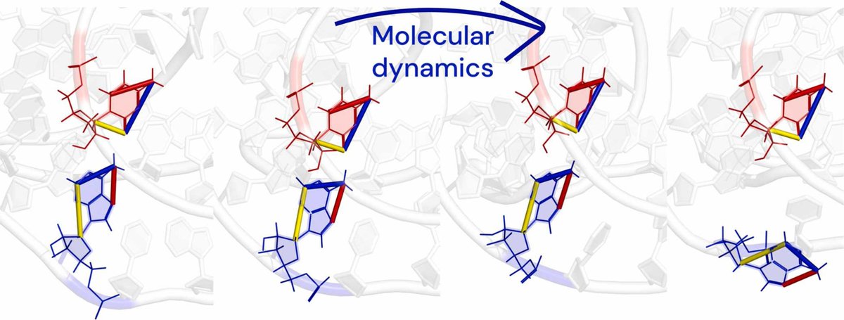 🔗 When does molecular dynamics improve RNA models? Insights from CASP15 and practical guidelines.  DOI: doi.org/10.1016/j.csbj…

📚 CSBJ: csbj.org

#RNA #StructuralBiology #CASP15 #ComputationalBiology #Bioinformatics #MolecularSimulation #Biophysics <a href="/CSB_Journal/">CSBJ</a>