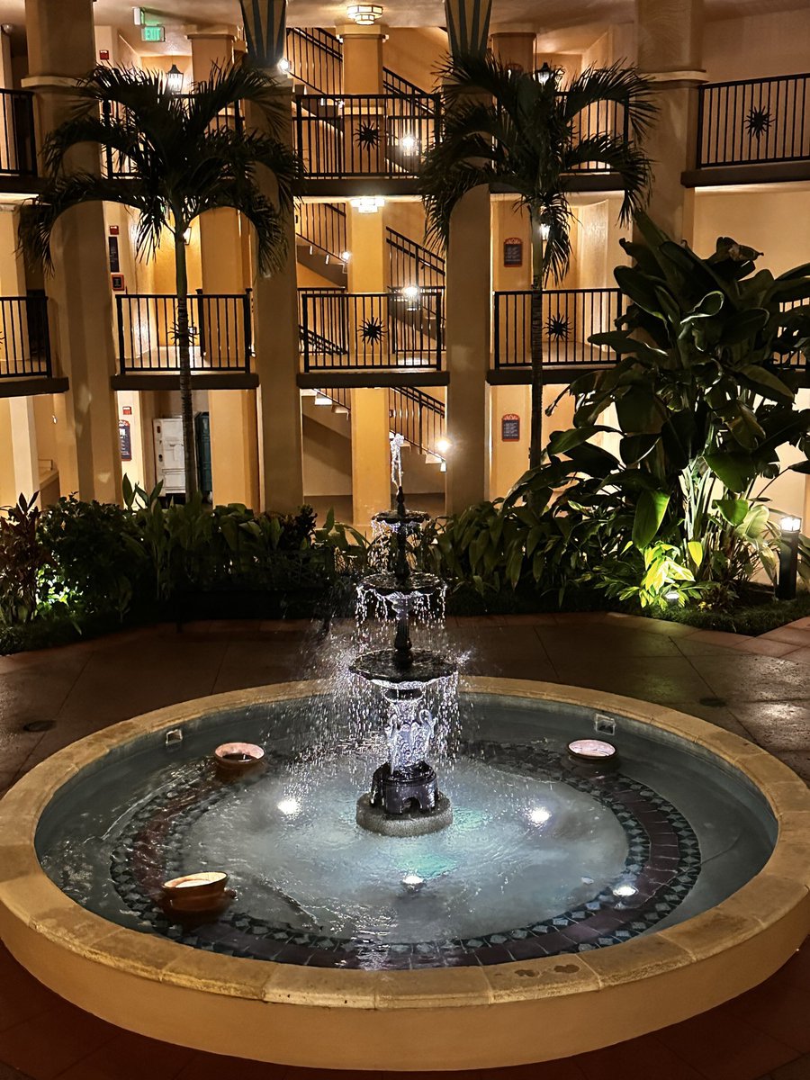 Here it is… your daily moment of Disney zen 

📸 <a href="/RitasAdventures/">WDWDVC🌴</a>