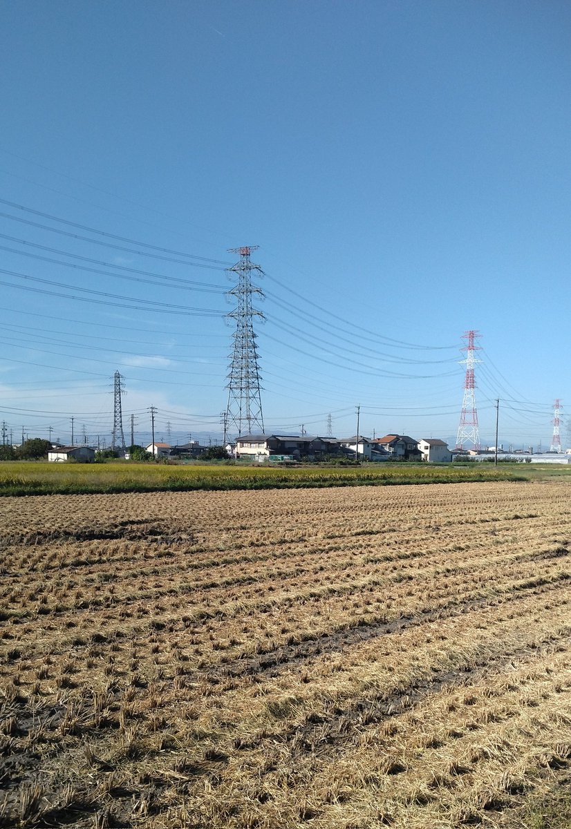 めっちょいい天気☀🌾👣
#オバ散歩