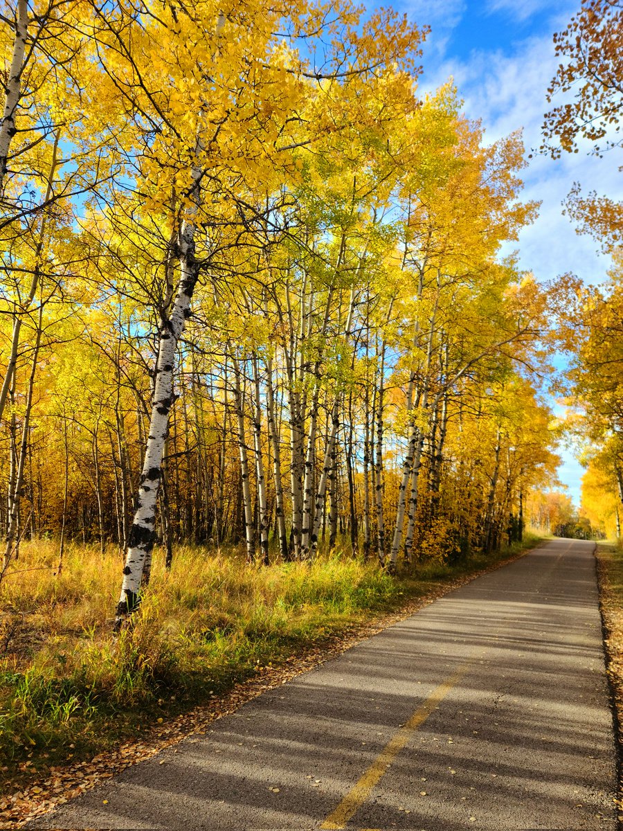 Lisa (Homer) Baril tweet media