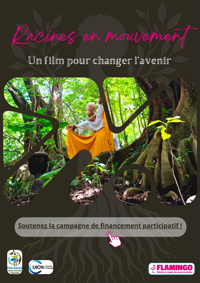 CGRichardSamuel's tweet image. #EDD #EAC Racines en mouvement : un projet plein d'ambition qui a besoin de soutien. @CGRichardSamuel @AcGuadeloupe @GFioni @DAACGuadeloupe