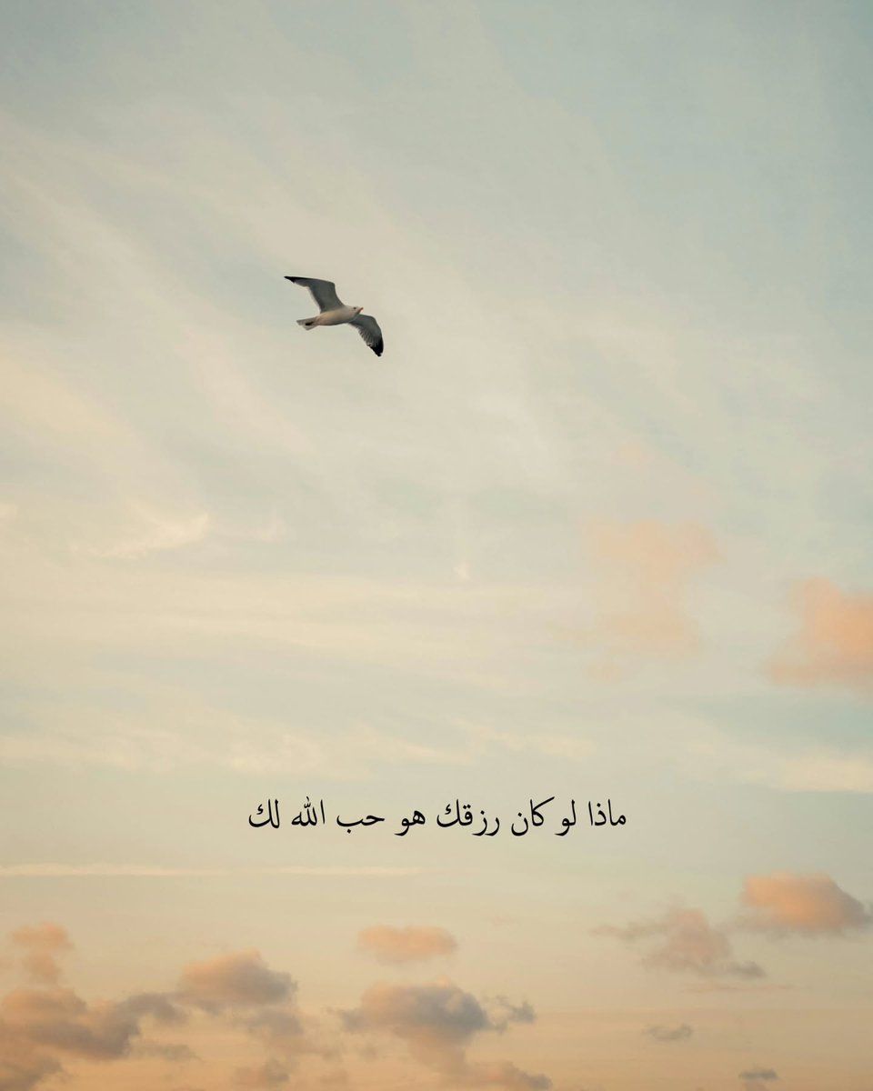 ما وراء المعرفة (@m3il9) on Twitter photo 
