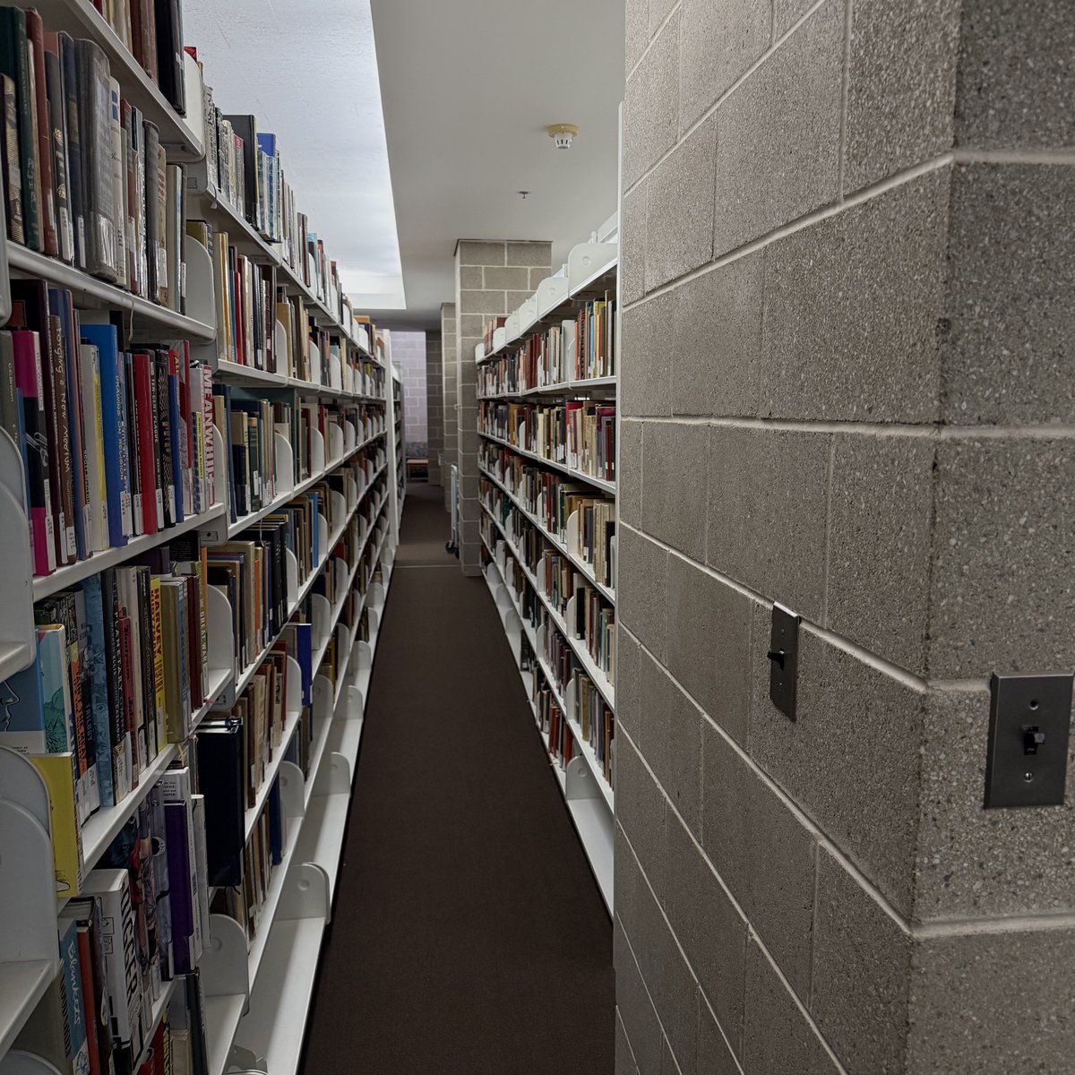 bearemoticon's tweet image. My favorite place to study