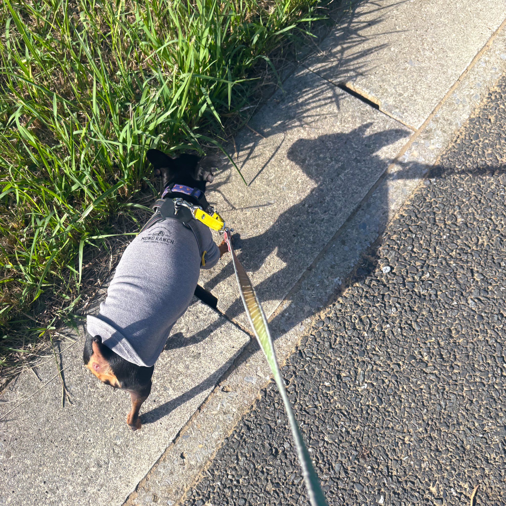 薔薇子様 薔薇子™ (@vallaco) / X