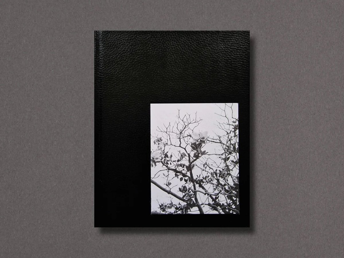 RUFFDRAFT.eth tweet media