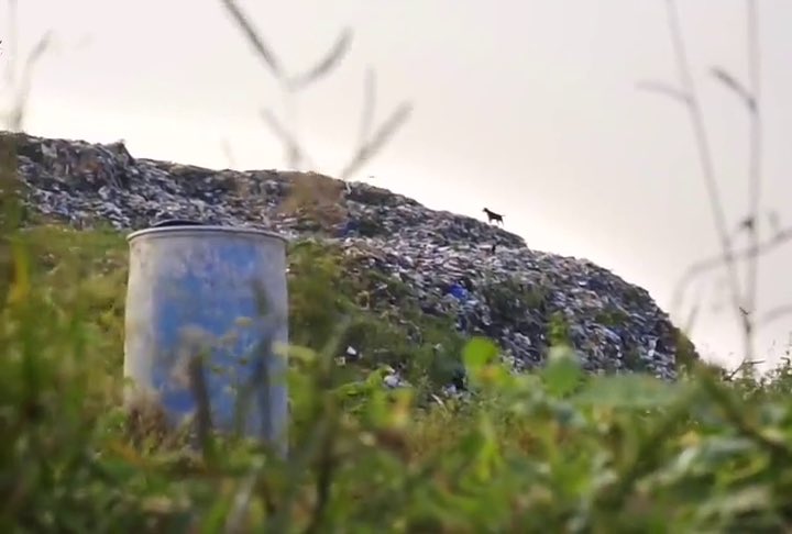 Show Me Something Wrong Podcast tweet media